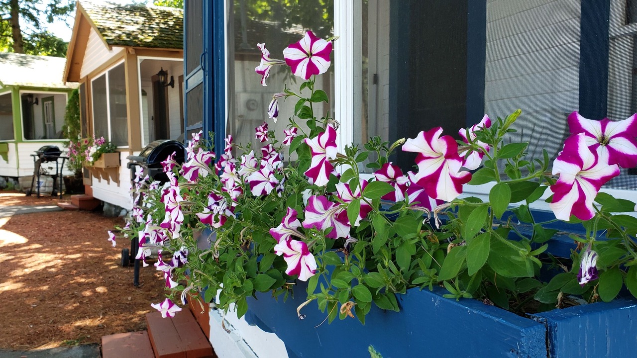 Photo of Outdoor in Weirs Beach