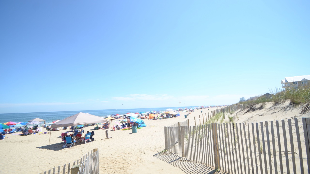 Photo of Others in Midtown Ocean City