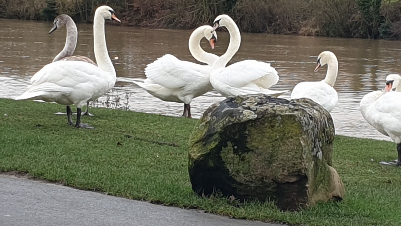 Photo of Bedroom in La Mare Aubry