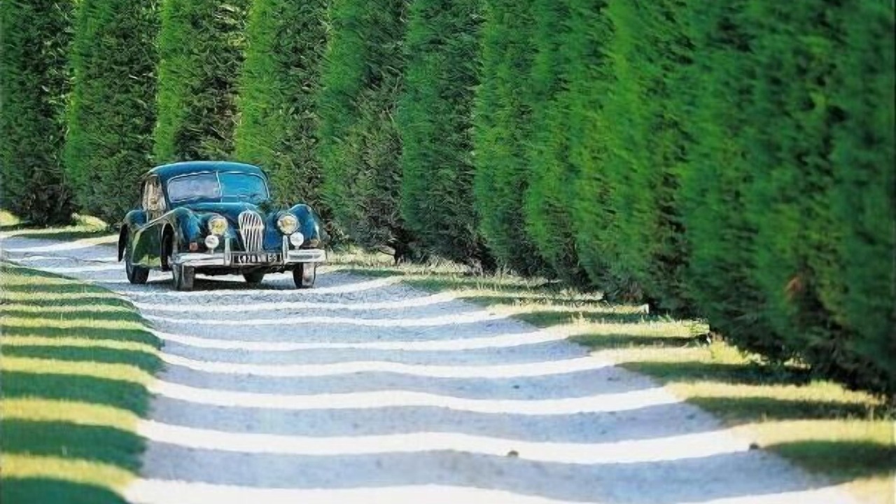 Photo of Others in Chonas-l'Amballan