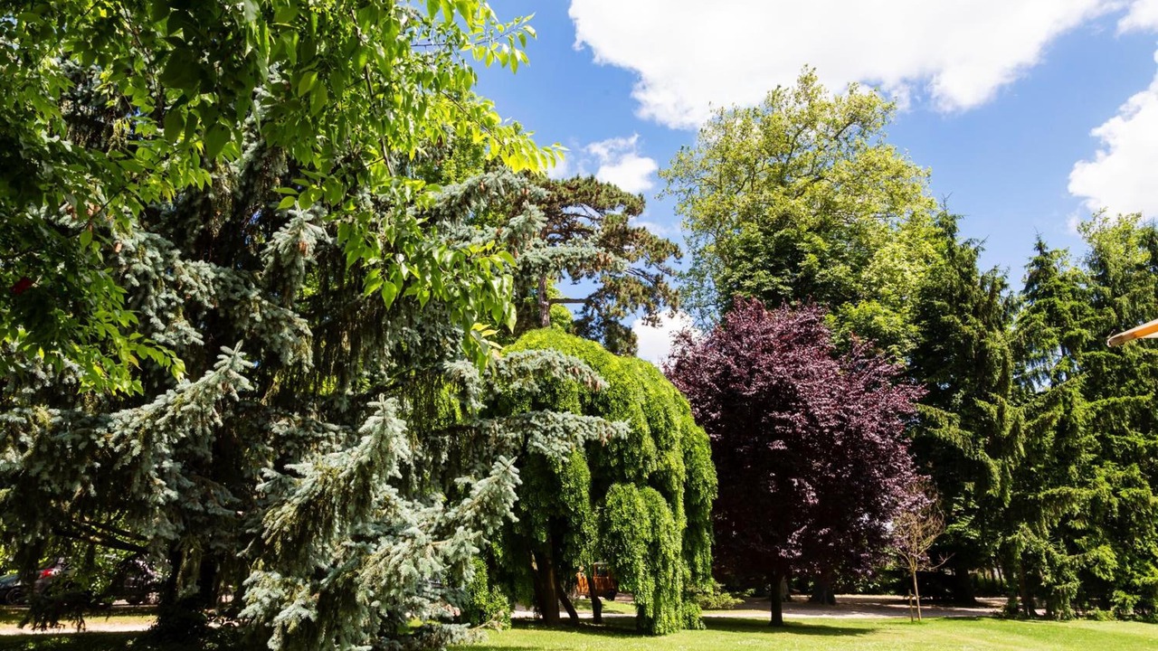 Photo of Outdoor in Chonas-l'Amballan