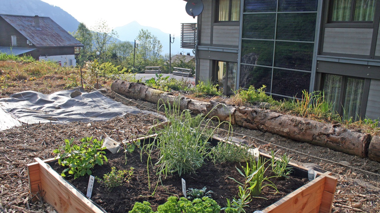 Photo of Outdoor in Les Carroz-d'Araches