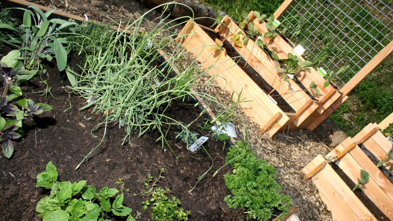 Photo of Outdoor in Les Carroz-d'Araches