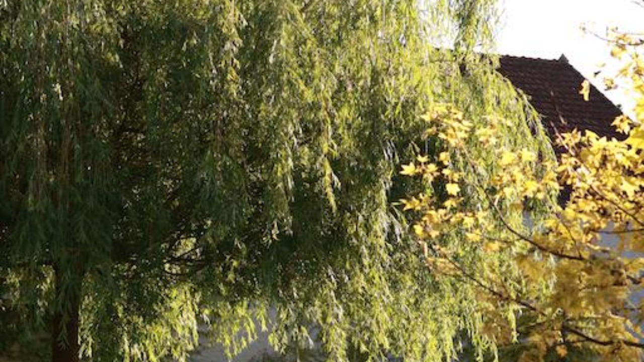 Photo of Outdoor in Gilly-les-Citeaux