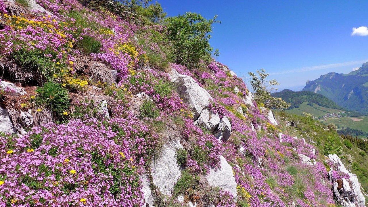 Photo of Outdoor in Hirmentaz