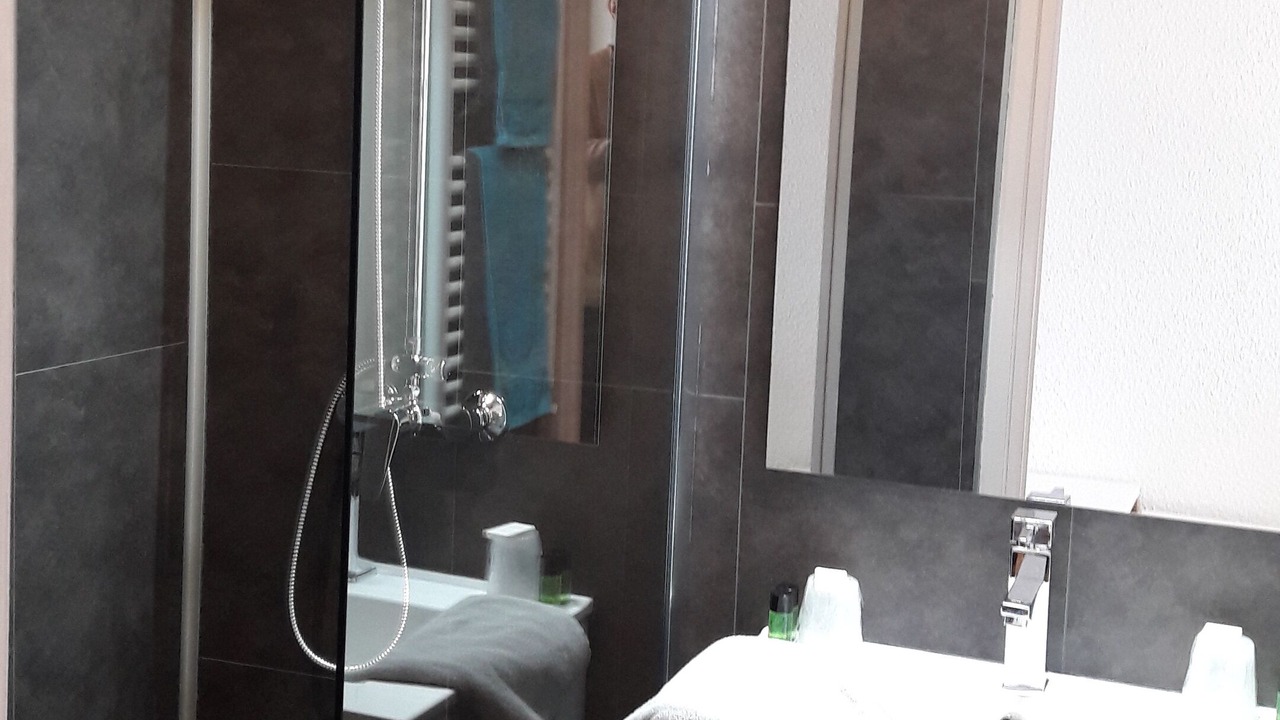 Photo of Bathroom in Bitche