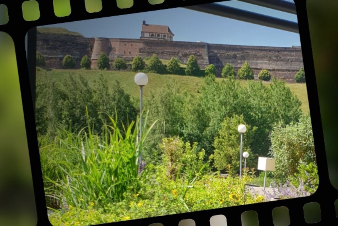 Photo of Patio Balcony in Bitche
