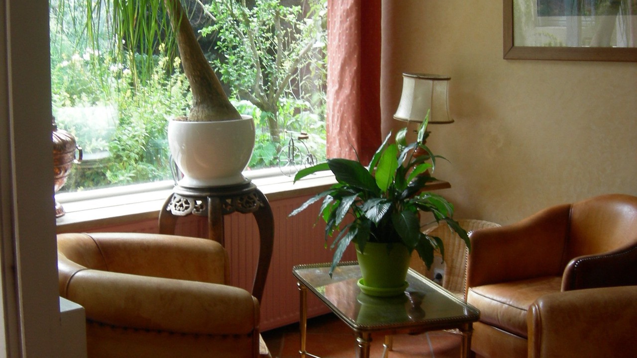 Photo of Others in Avallon