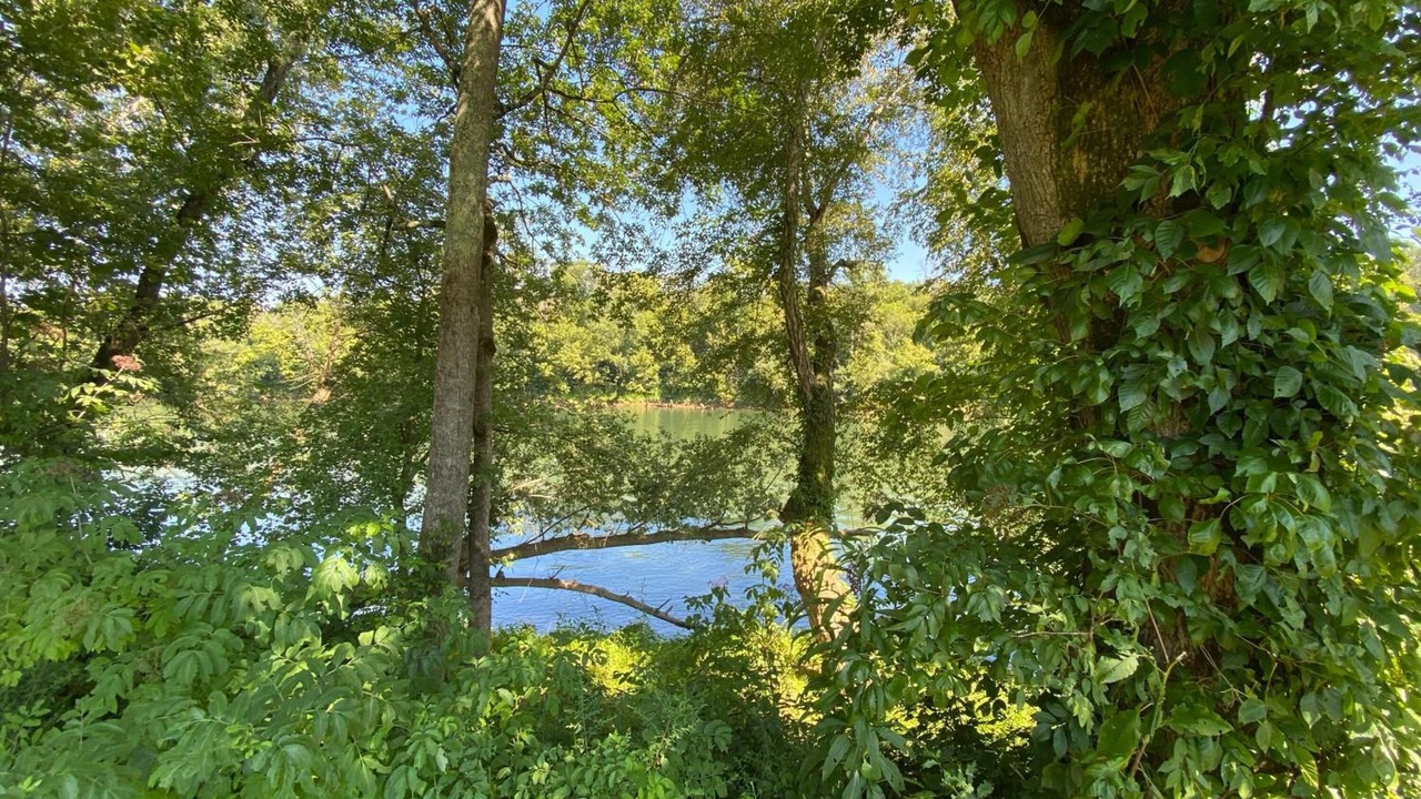 Photo of Outdoor in Burkesville