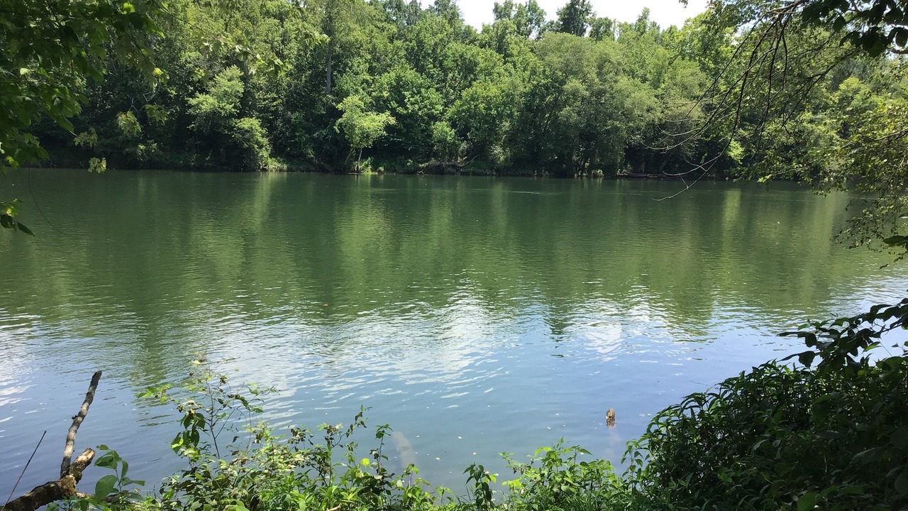 Photo of Outdoor in Burkesville