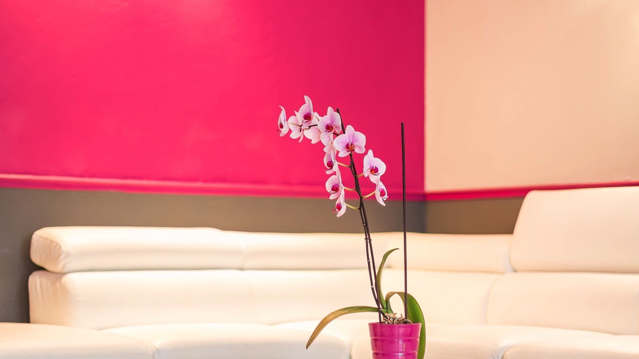 Photo of Others in Argeles Gazost