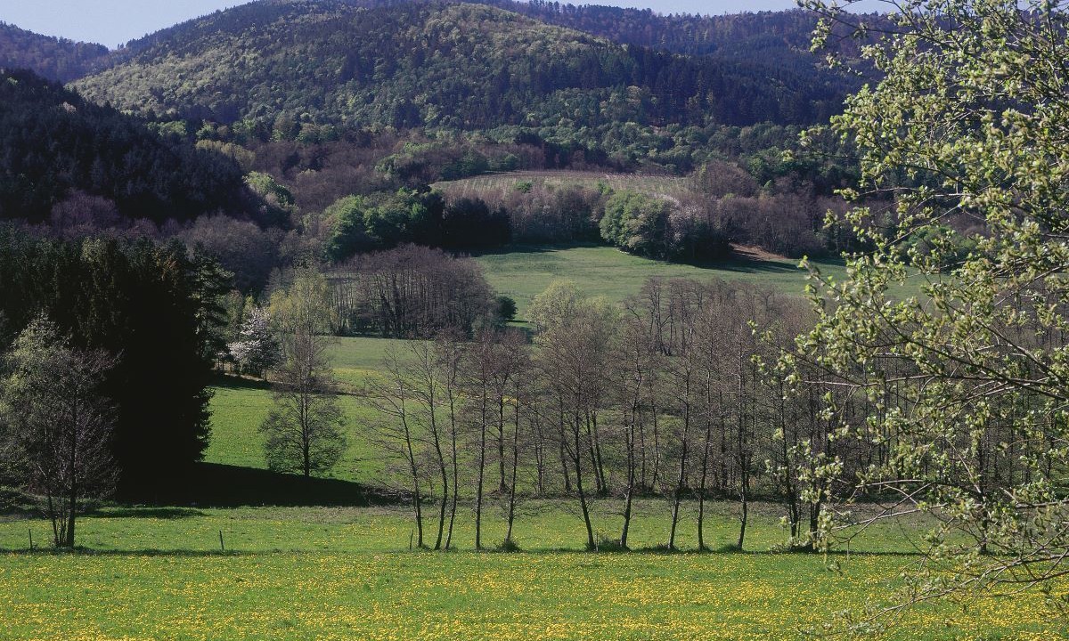 Photo of Outdoor in Wintzfelden
