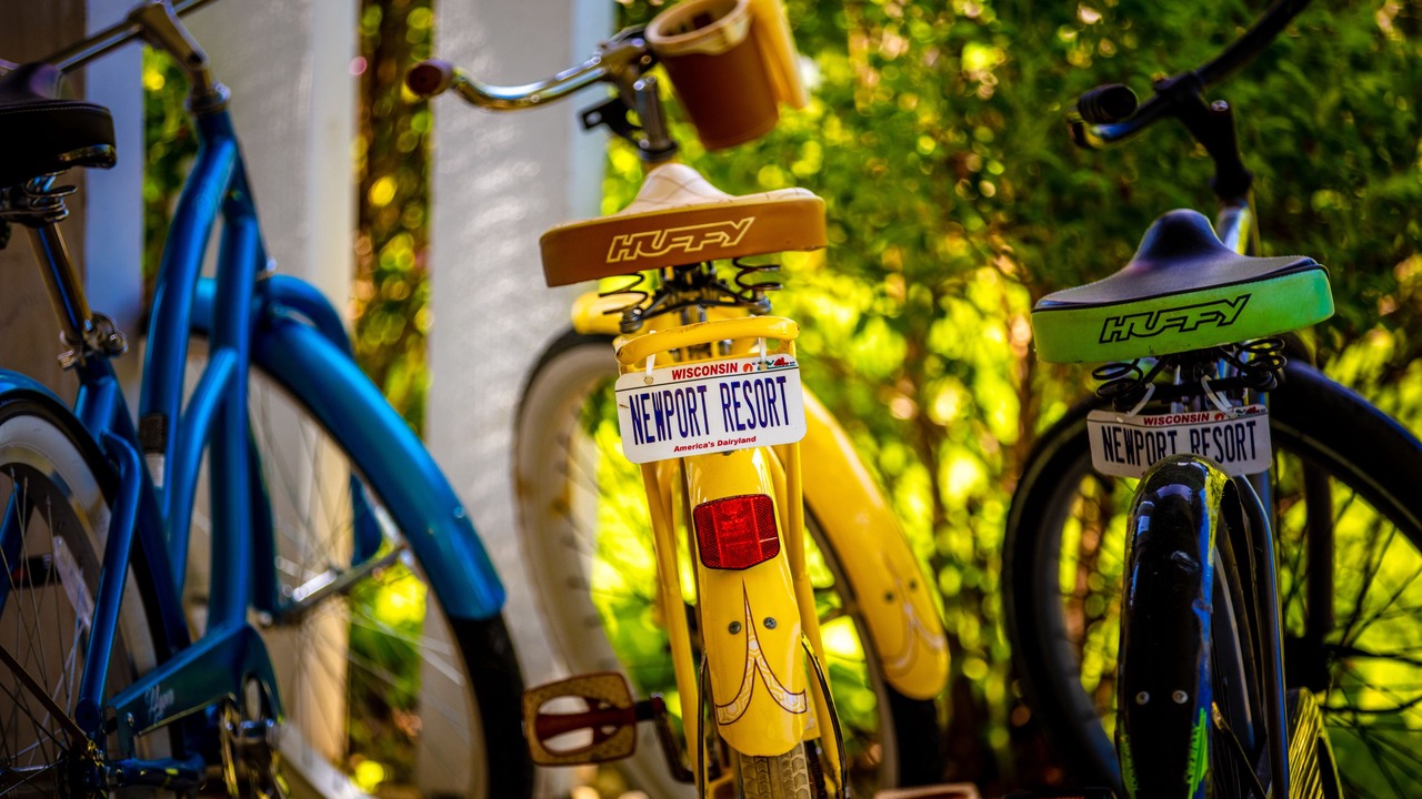 Photo of Outdoor in Egg Harbor