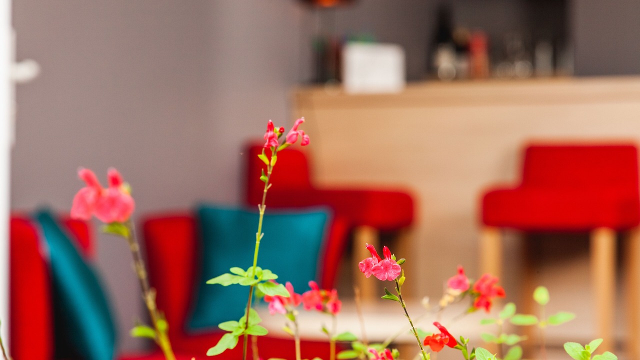 Photo of Others in Cathedrale