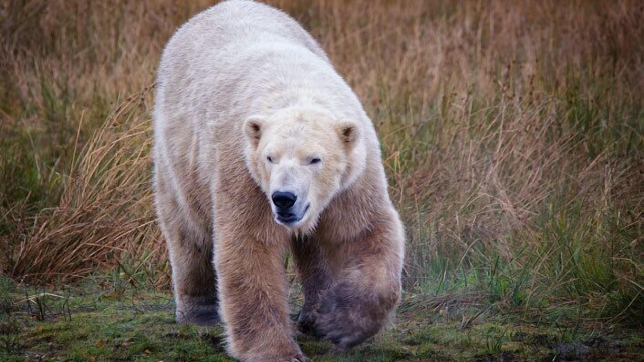 Photo of Others in Newtonmore