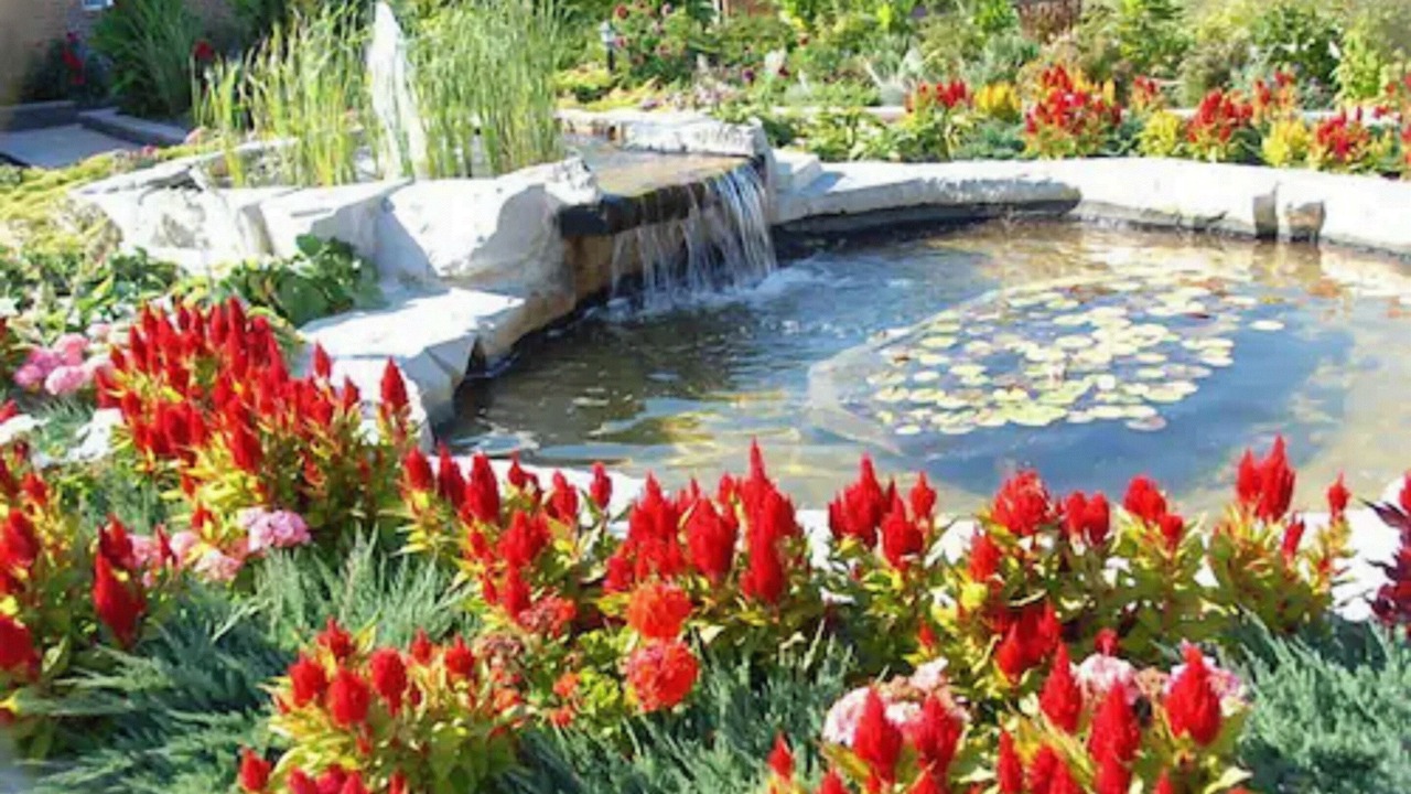 Photo of Outdoor in Sharon