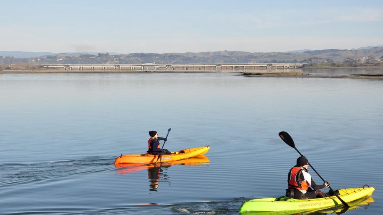 Photo of Others in Westshore