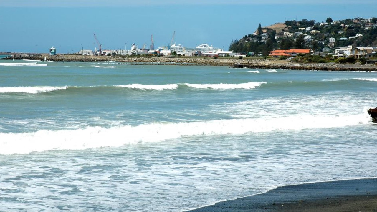 Photo of Others in Westshore