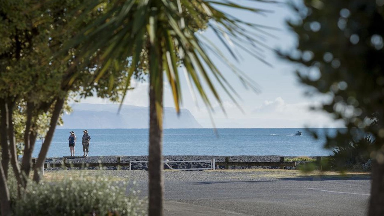 Photo of Others in Westshore