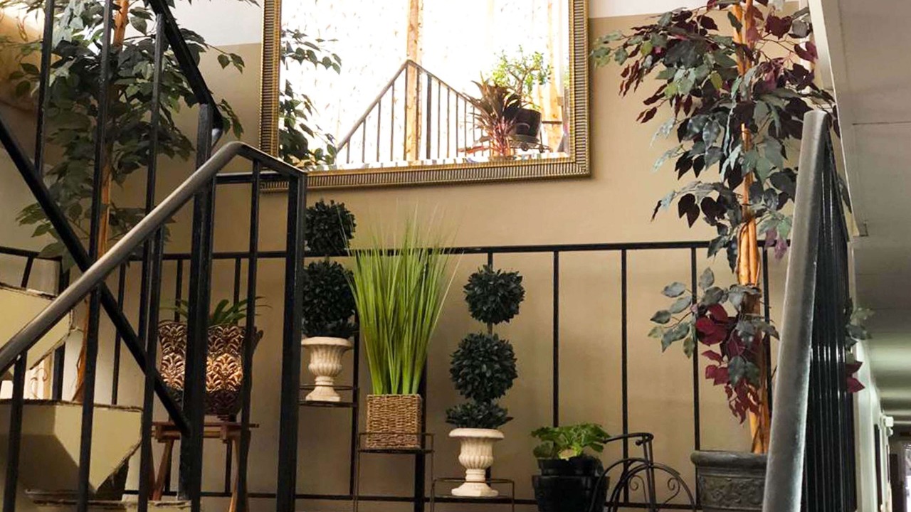 Photo of Others in Mansfield