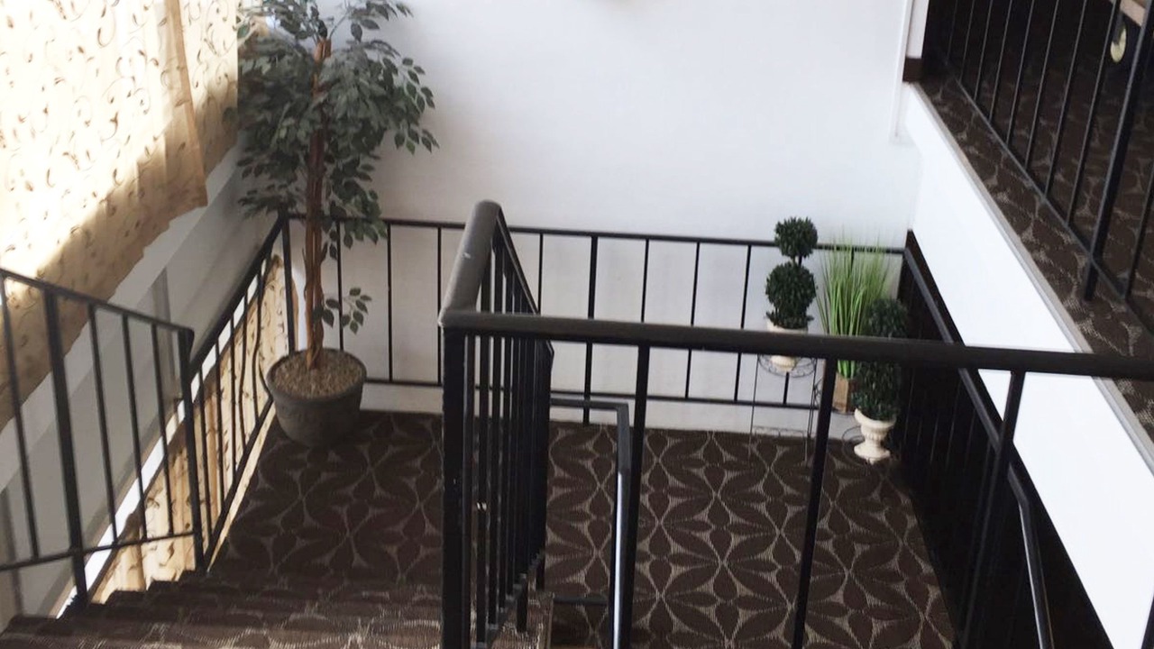 Photo of Others in Mansfield