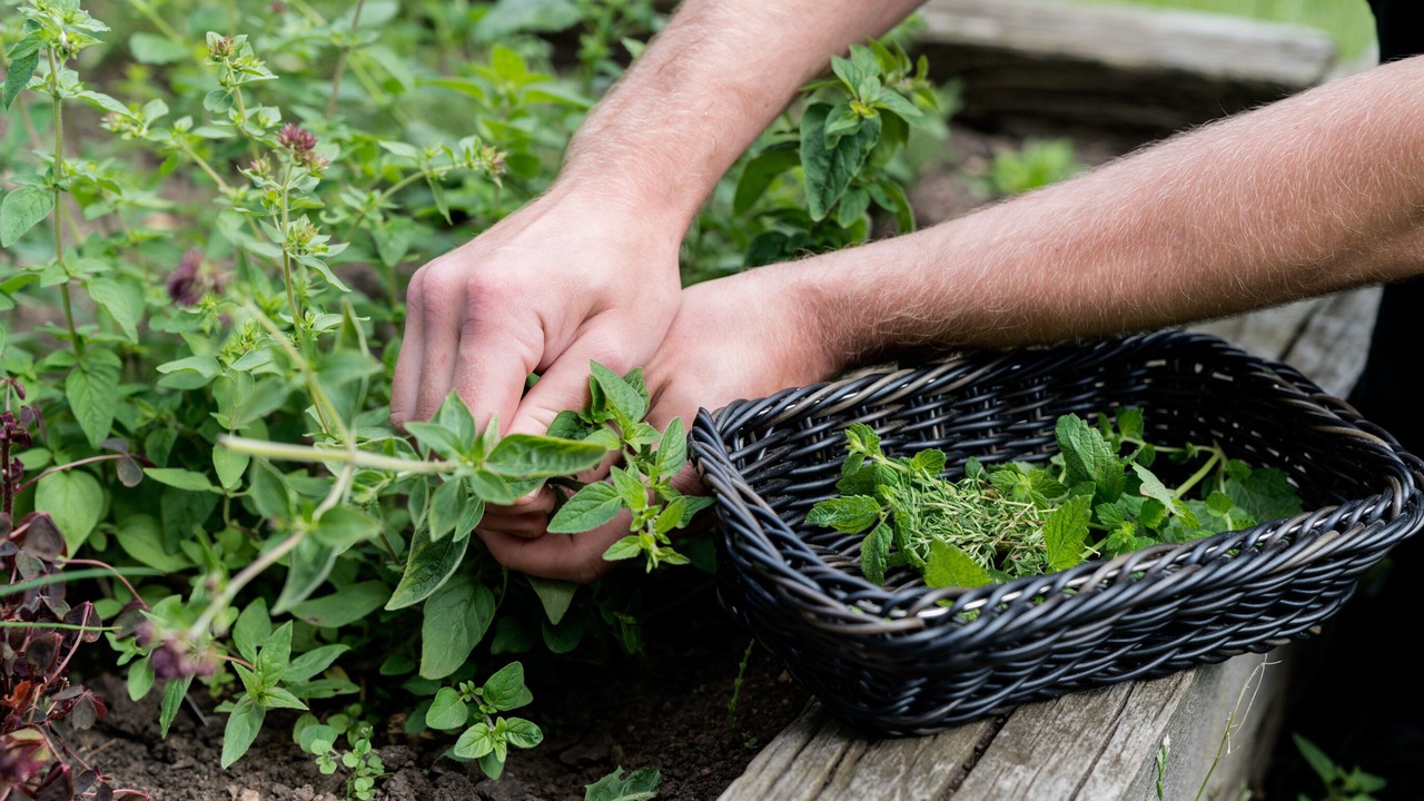 Photo of Outdoor in Slagelse