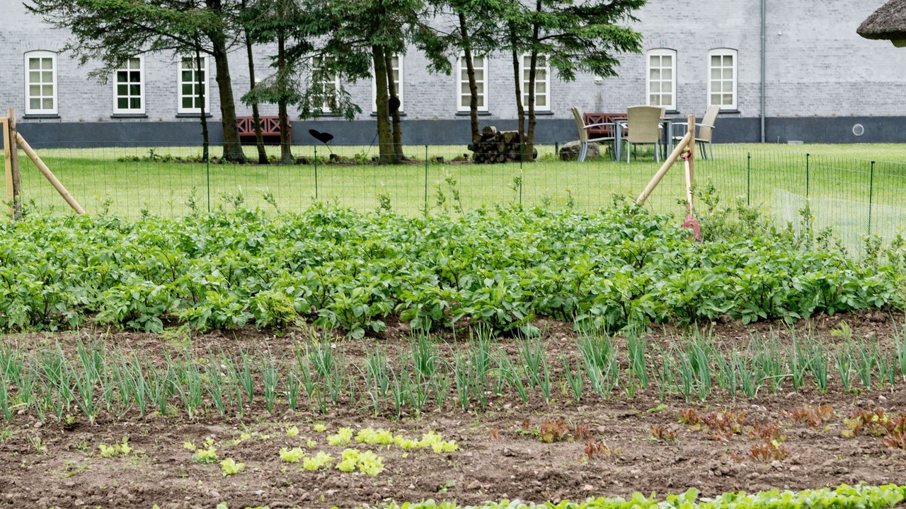 Photo of Outdoor in Slagelse