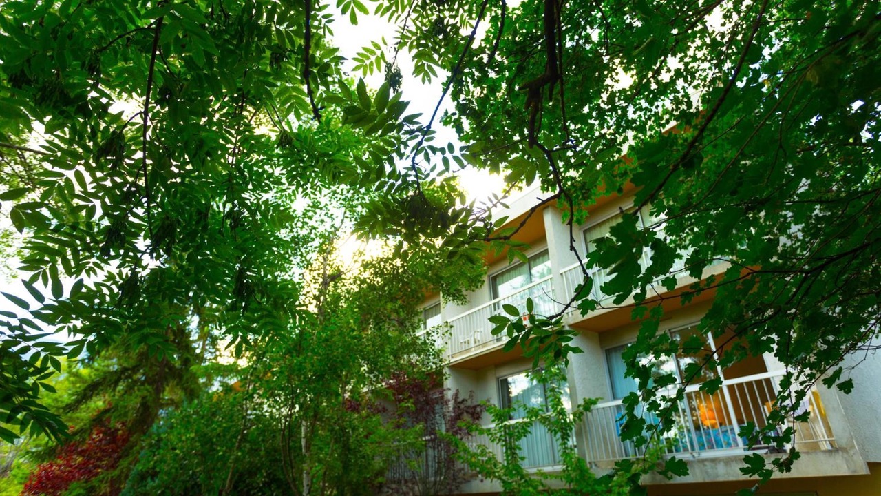 Photo of Outdoor in Gap