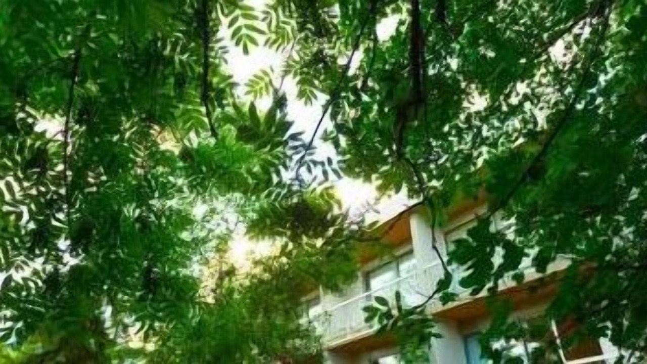 Photo of Outdoor in Gap