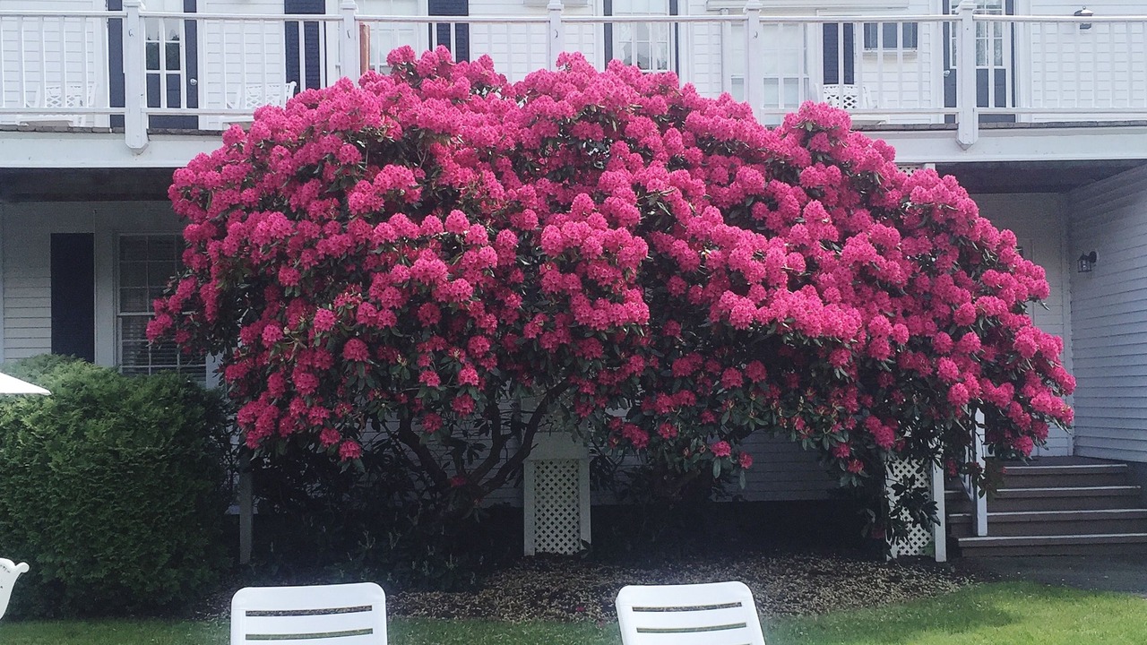Photo of Outdoor in Falmouth