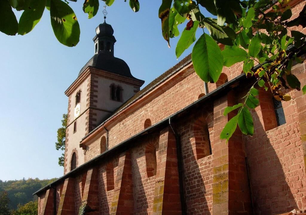 Photo of Outdoor in Saint-Jean-Saverne