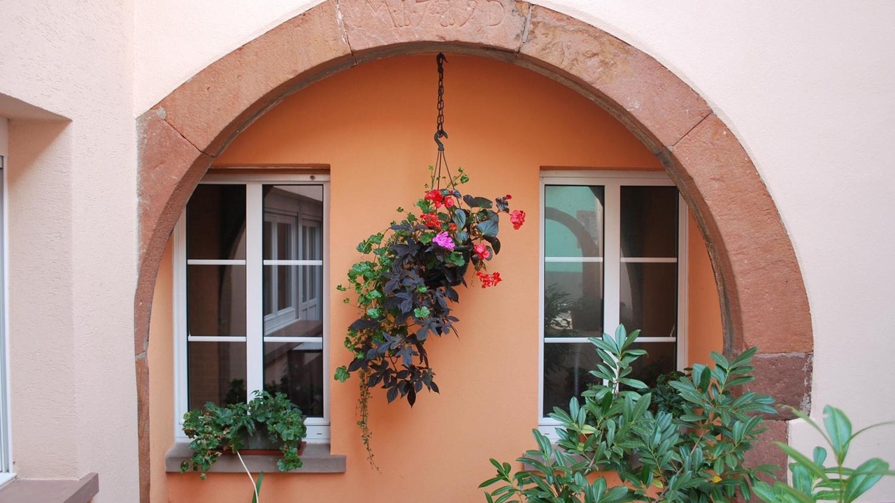 Photo of Outdoor in Saint-Jean-Saverne