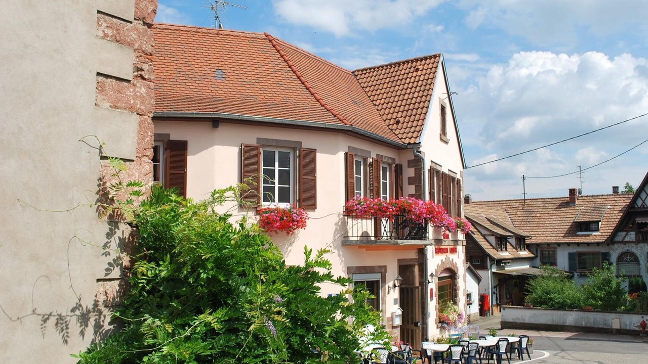 Photo of Outdoor in Saint-Jean-Saverne