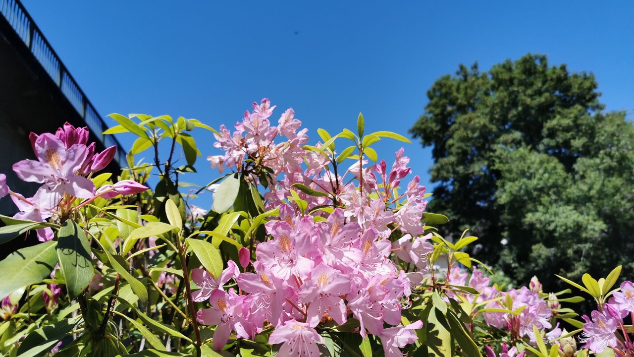 Photo of Outdoor in Uzerche