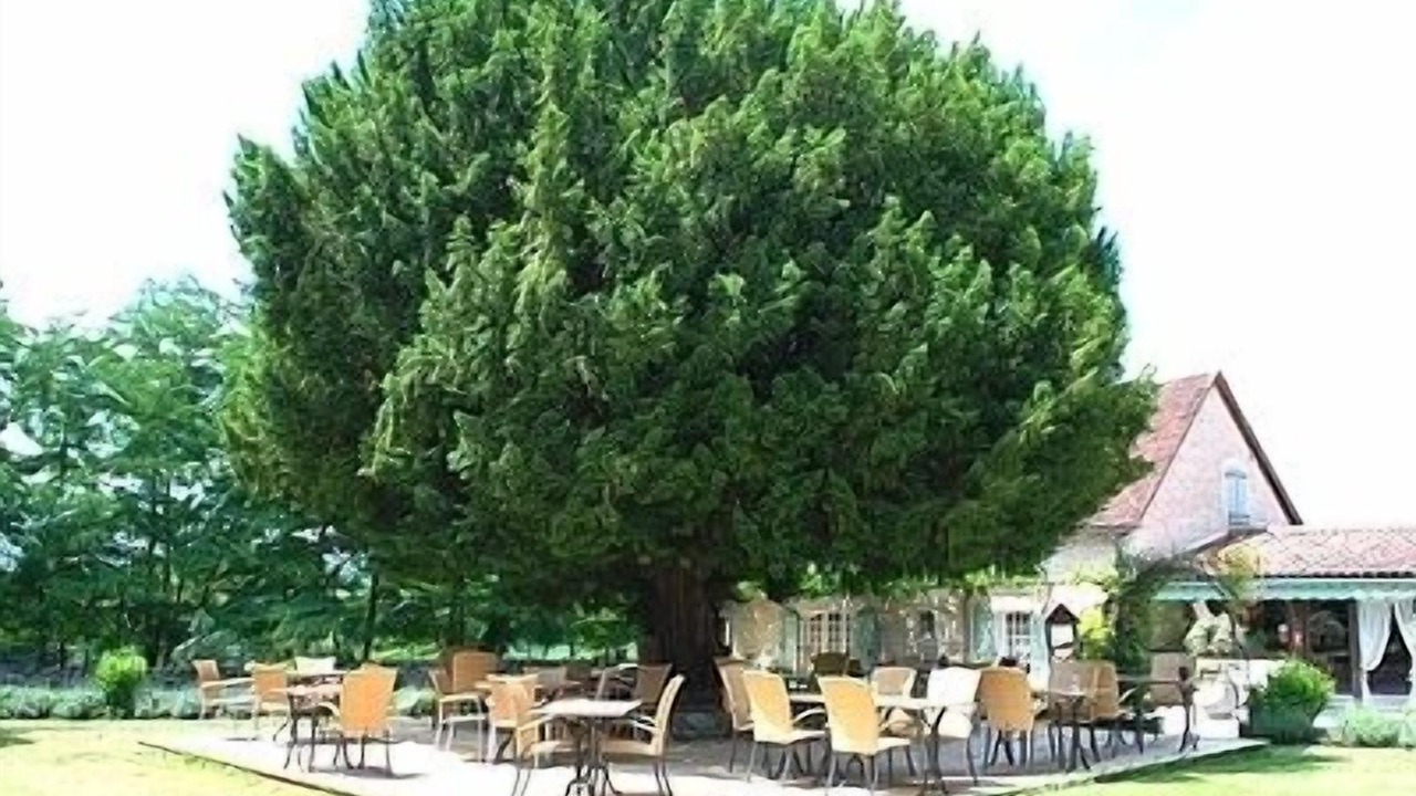 Photo of Patio Balcony in Rocamadour