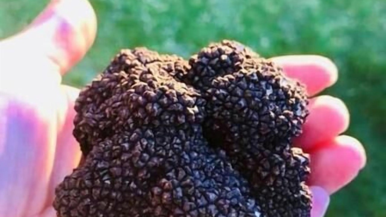 Photo of Others in Rocamadour