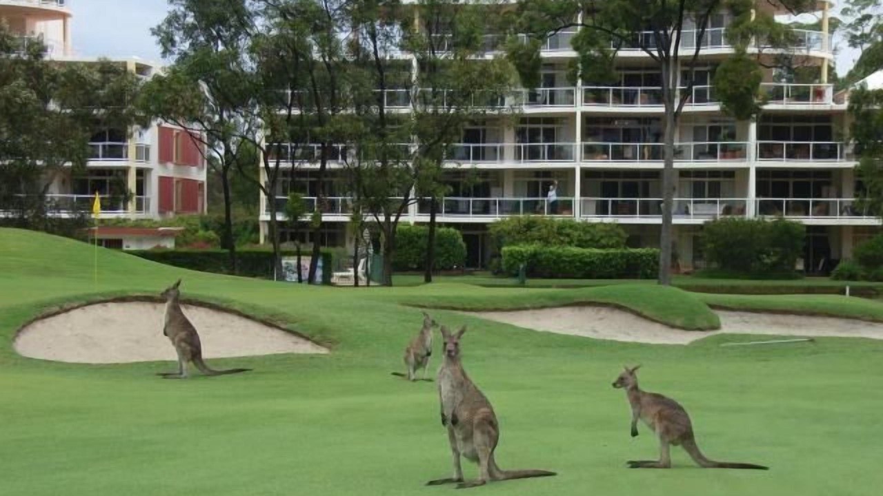 Photo of Others in Twin Waters