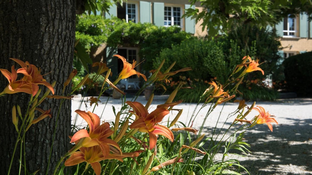 Photo of Outdoor in Barbentane