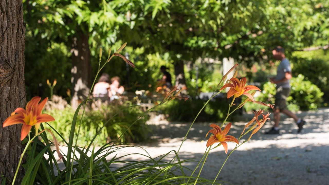 Photo of Outdoor in Barbentane