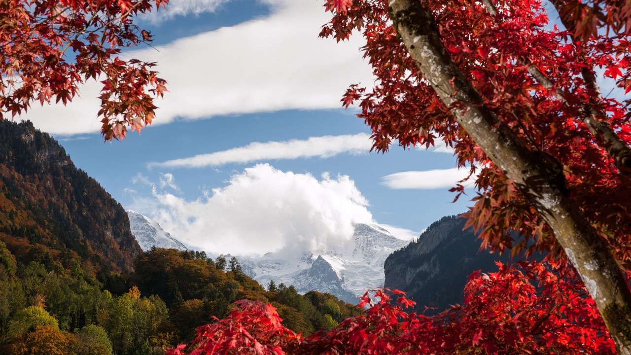Photo of Others in Wilderswil