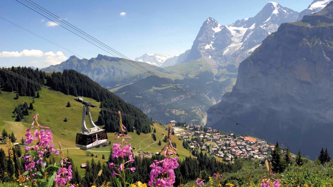 Photo of Outdoor in Wilderswil