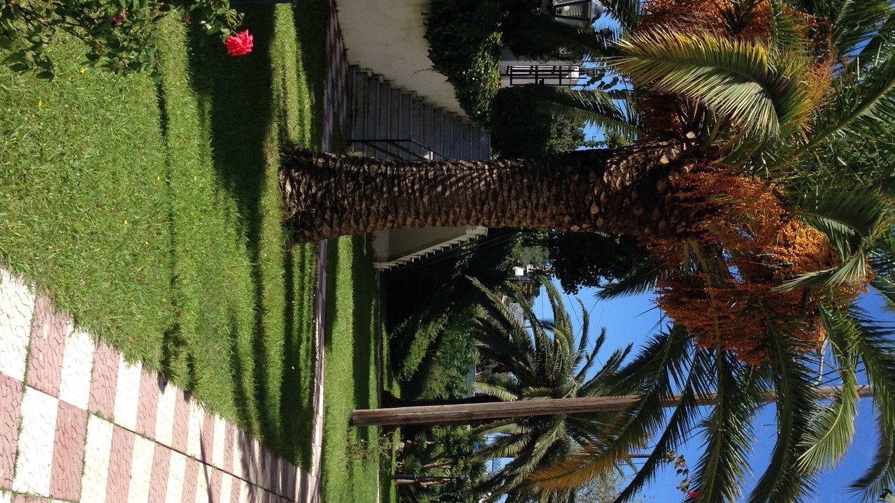 Photo of Outdoor in Acharavi