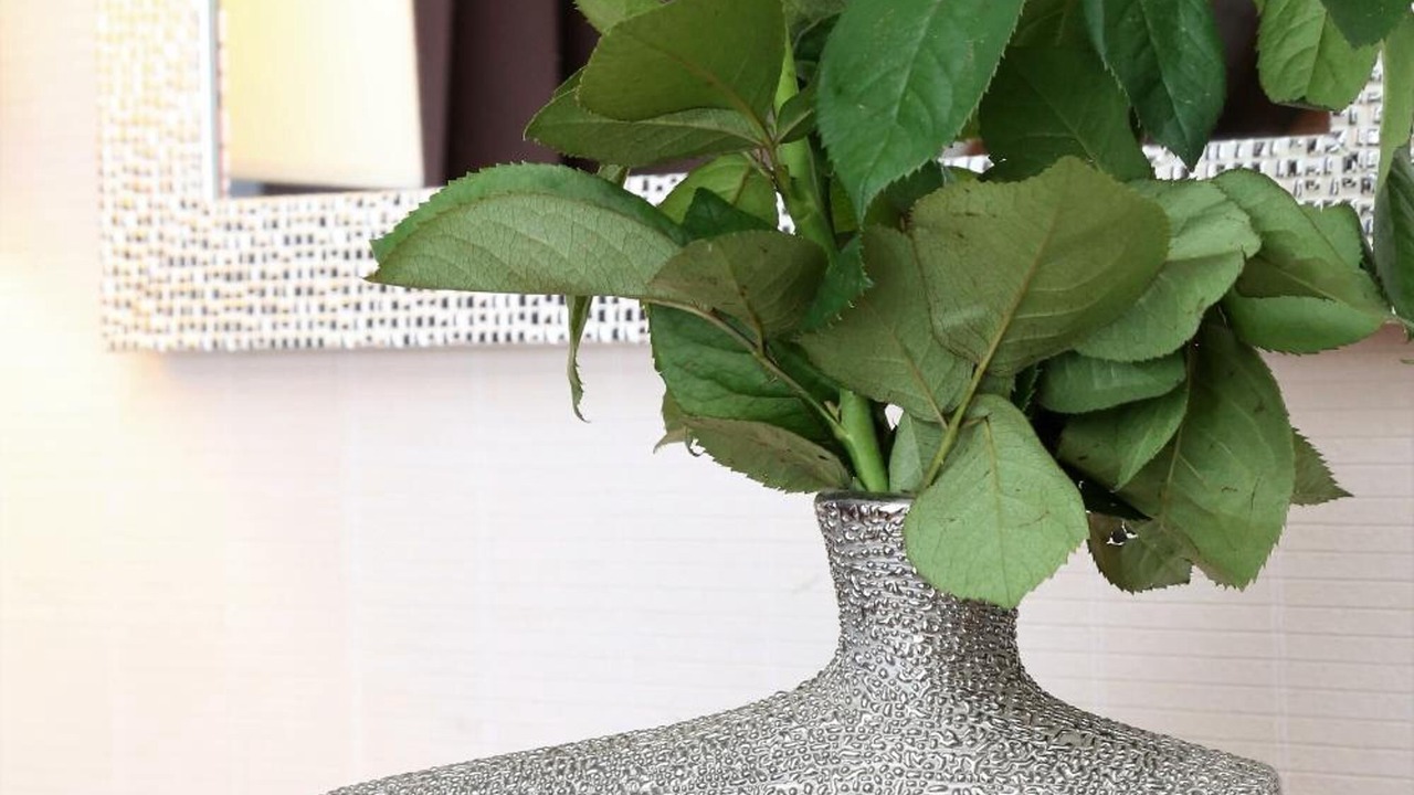 Photo of Others in Mauriac