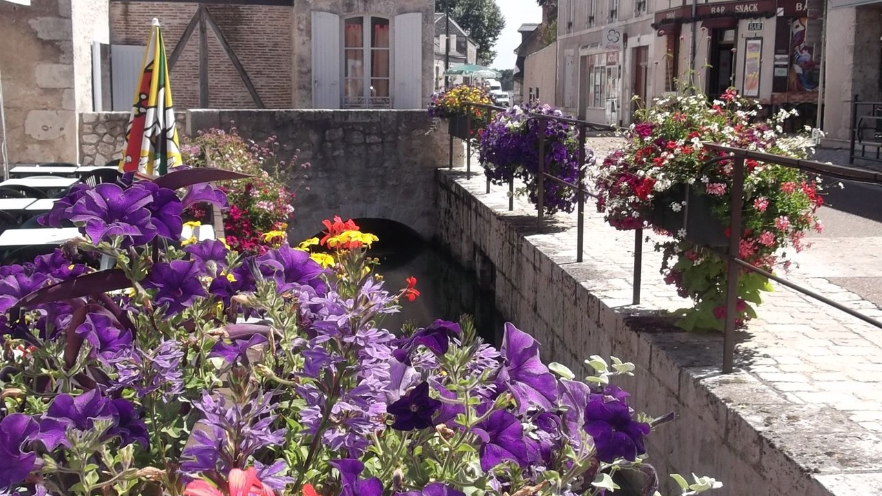 Photo of Others in Beaugency