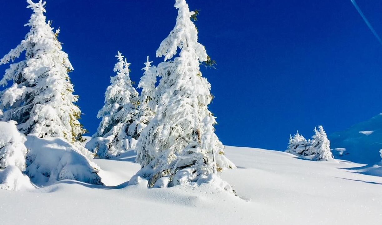 Photo of Others in Morzine