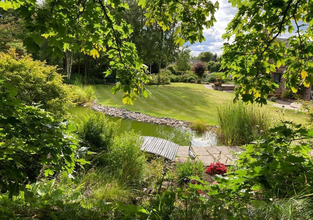 Photo of Outdoor in Alyth