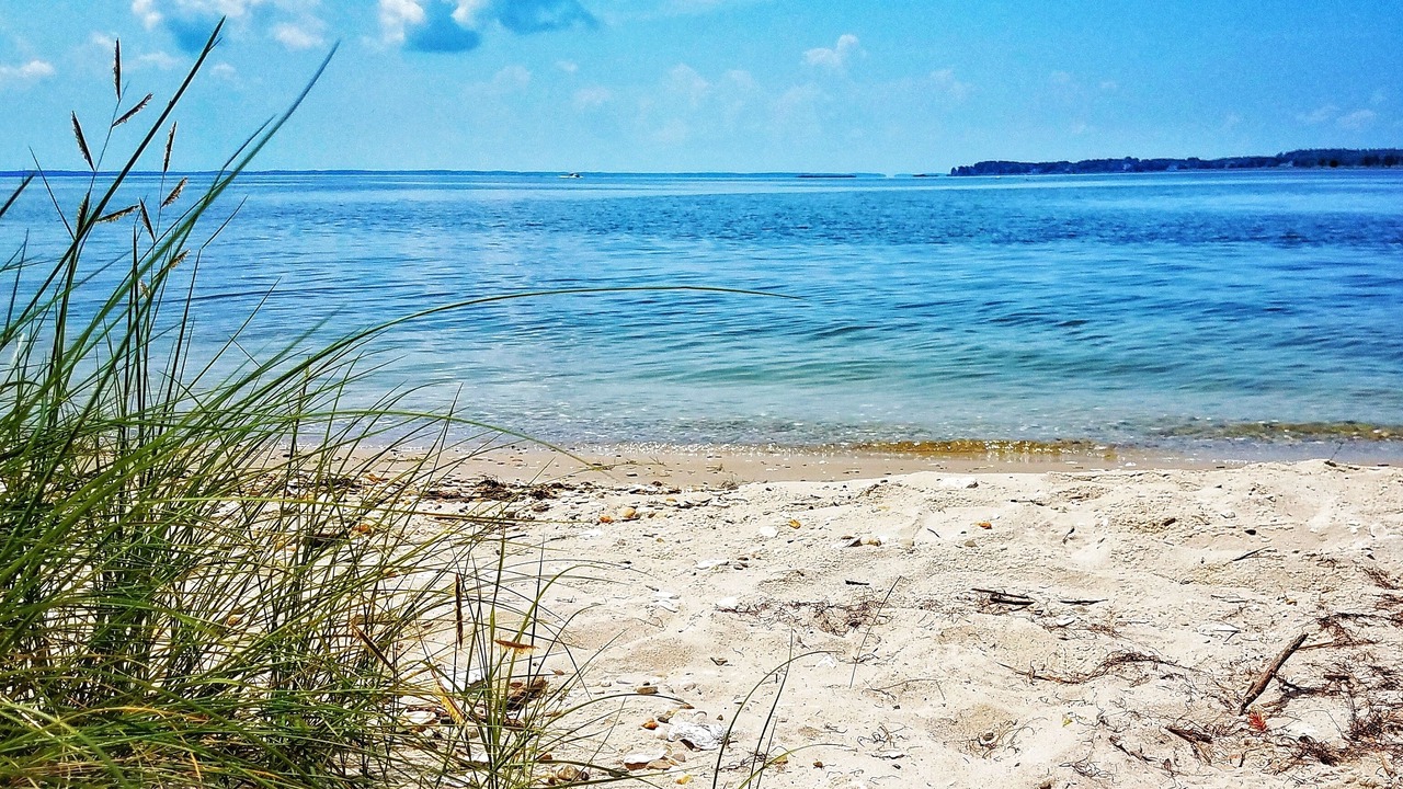 Photo of Others in Oxford