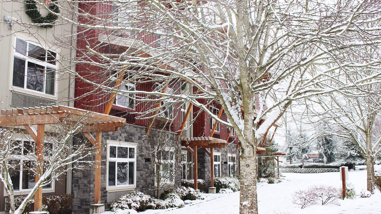 Photo of Outdoor in Yelm