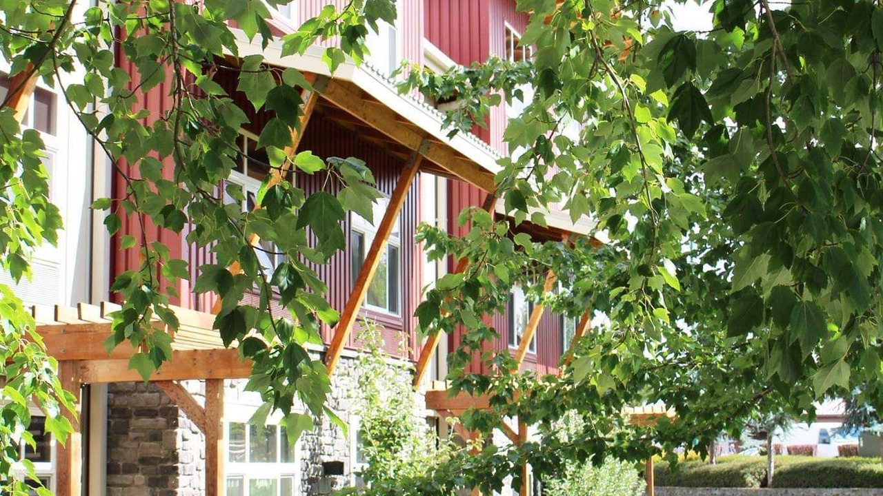 Photo of Outdoor in Yelm