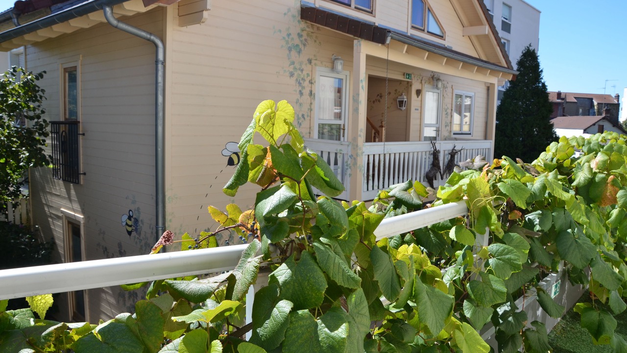 Photo of Outdoor in Chalon-sur-Saone